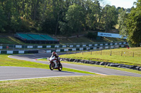Middle Group Red Bikes